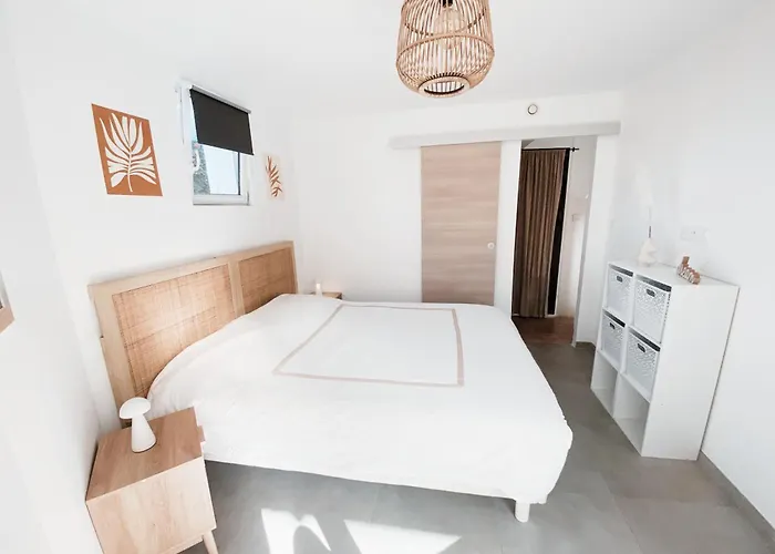 公寓 T3 Vue Et Coucher De Soleil Sur Les Iles Sanguinaires - Climatise