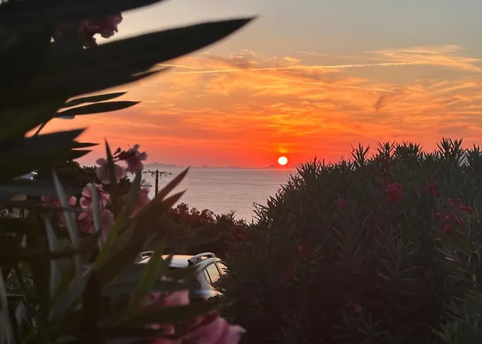 公寓 T3 Vue Et Coucher De Soleil Sur Les Iles Sanguinaires - Climatise