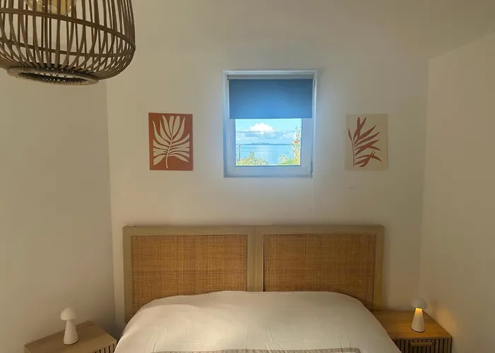 T3 Vue Et Coucher De Soleil Sur Les Iles Sanguinaires - Climatise דירה